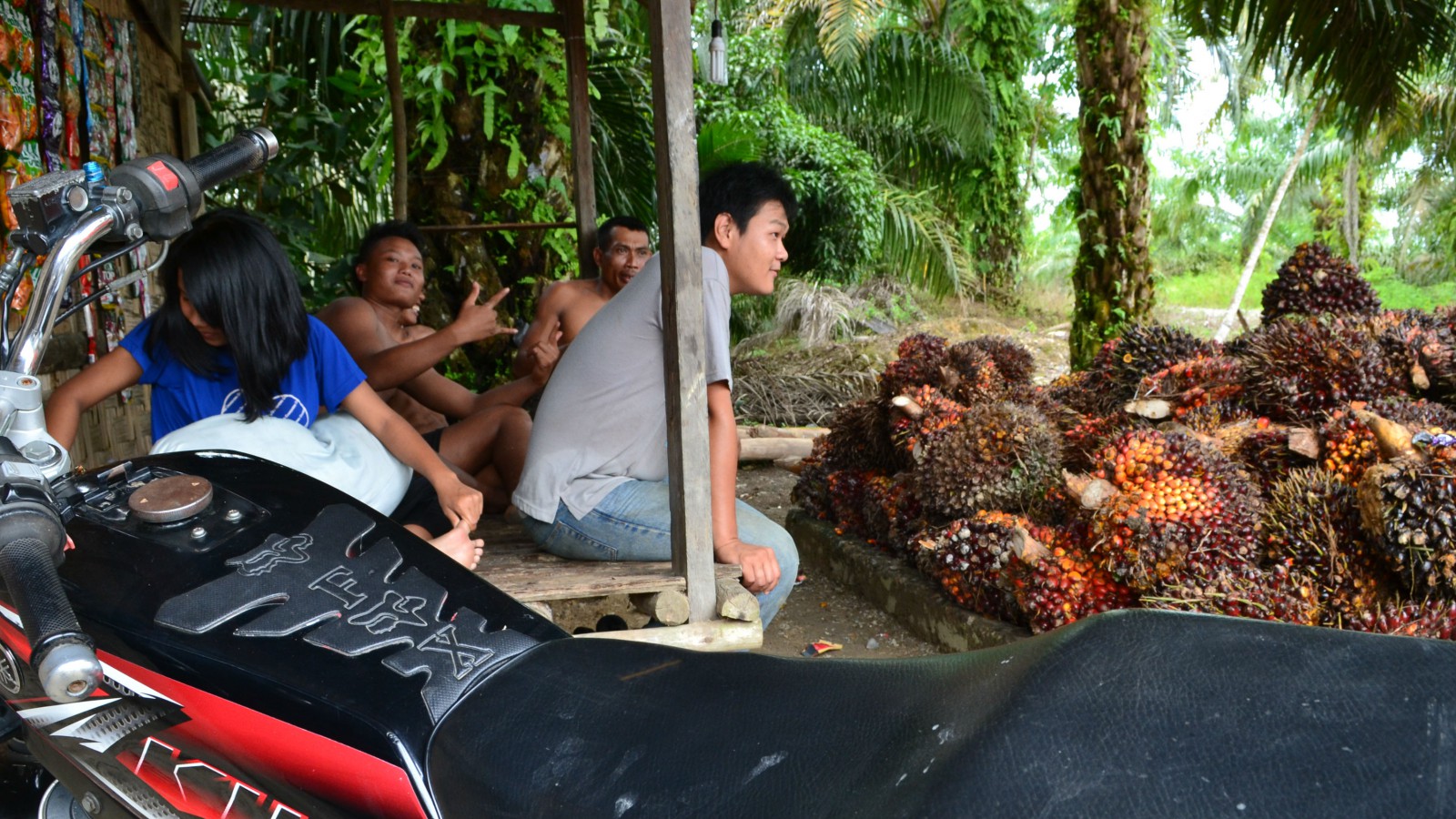 Minst tre miljoner indonesier beräknas vara direkt sysselsatta tack vare palmoljan